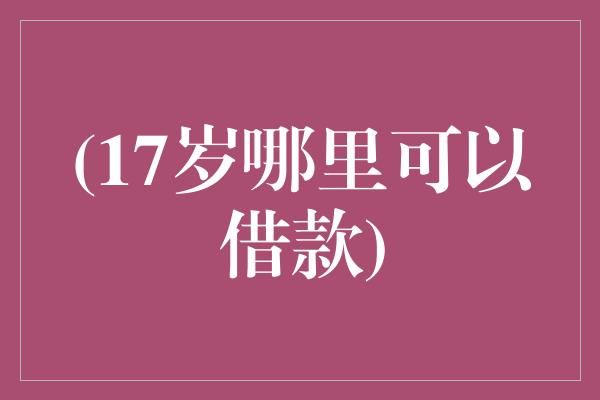 (17岁哪里可以借款)