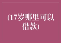 17岁青年正当借款途径探讨