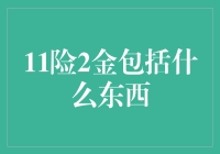 11险2金：职场福利体系的深度解析