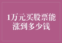 1万元买股票的涨势潜力：从新手到高手的财富倍增术