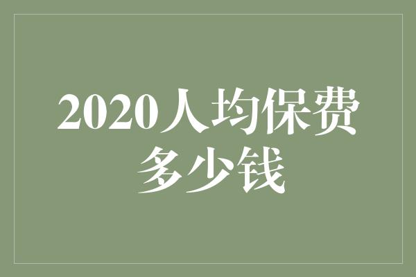 2020人均保费多少钱