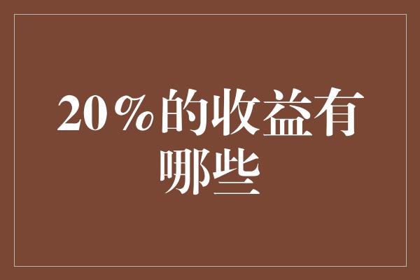 20%的收益有哪些