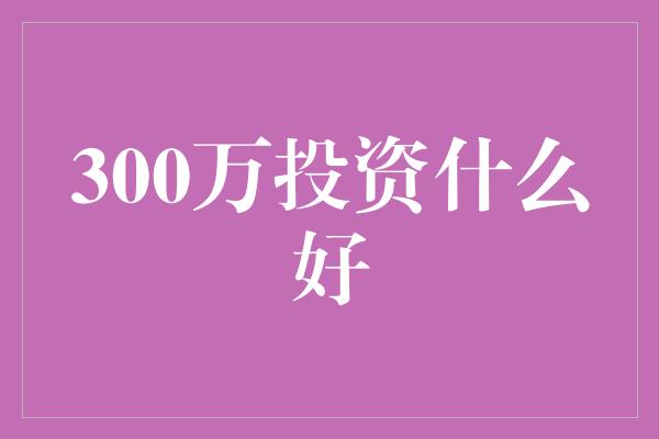 300万投资什么好