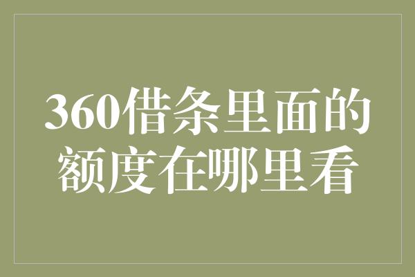 360借条里面的额度在哪里看