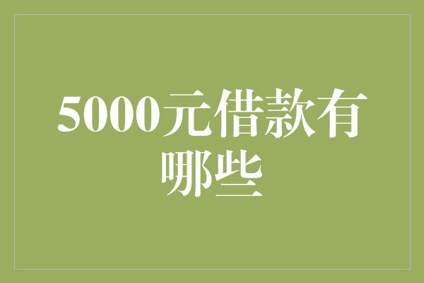 5000元借款有哪些