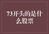 73开头的是什么股票？——金融圈的神秘代码大揭秘