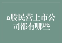 A股民营上市公司：从草根创业到高端玩家的奇幻之旅