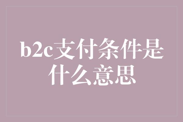 b2c支付条件是什么意思