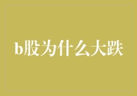 B股大跌：股市里的跳楼机事件