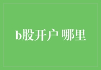 重新定义投资视野：B股市场开户指南与分析