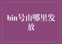 揭秘bin号的神秘面纱：谁是背后的发号者？