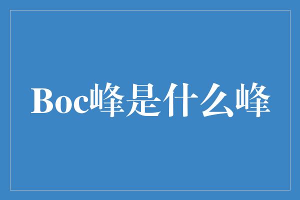 Boc峰是什么峰