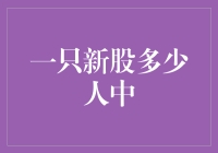 新股申购大挑战：谁能成为下一个股神？