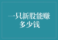 一只新股能赚多少钱：探索背后的收益与风险