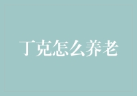 丁克族的温馨养老方案：如何优雅地步入晚年？