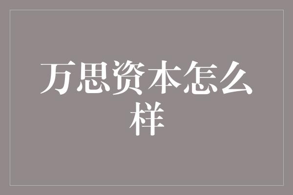 万思资本怎么样