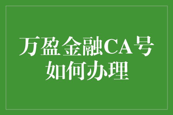 万盈金融CA号如何办理