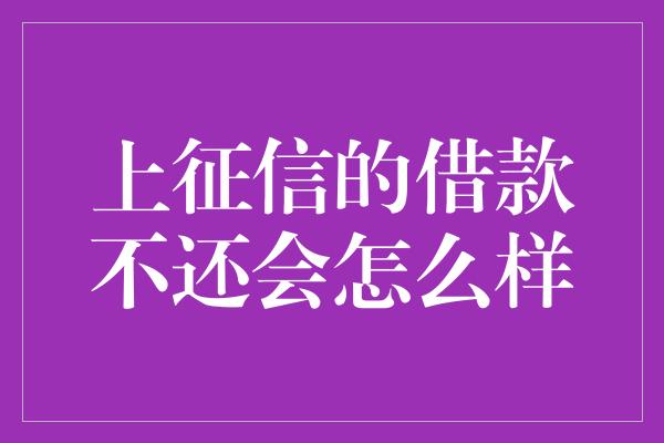 上征信的借款不还会怎么样