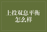 上投摩根双息平衡基金：投资策略与风险管理解析