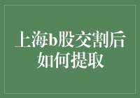 上海B股交割后提取流程详解：把握关键步骤，享受投资收益