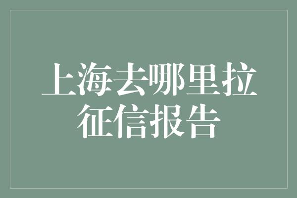 上海去哪里拉征信报告