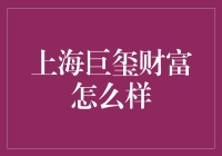 上海巨玺财富投资管理有限公司深度解析