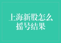 上海股市新股摇号结果查询攻略：新手投资者必看