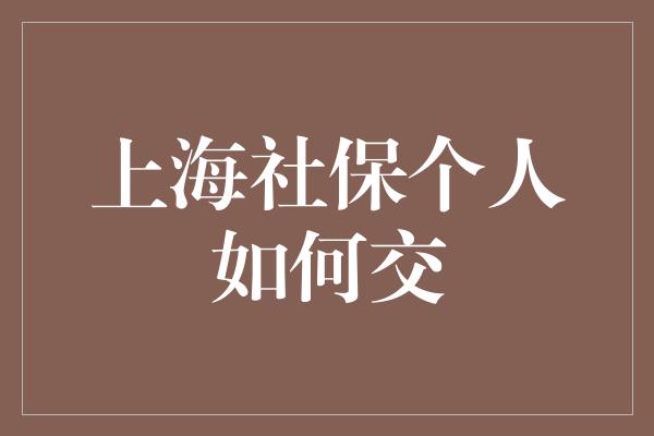 上海社保个人如何交