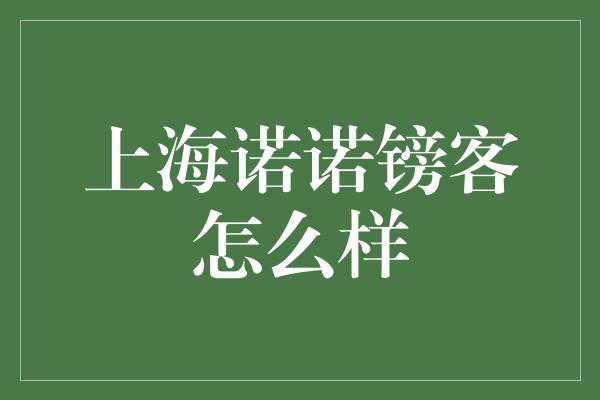 上海诺诺镑客怎么样