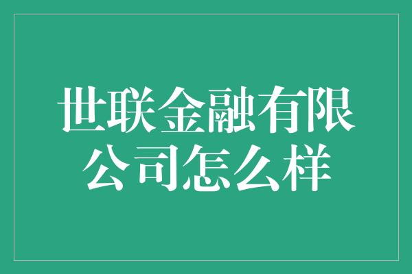 世联金融有限公司怎么样