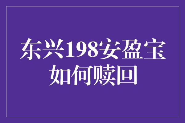 东兴198安盈宝如何赎回