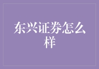 东兴证券：立足于稳健增长的全能型券商