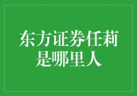 任莉与她的东方证券大冒险：一座城的诞生记