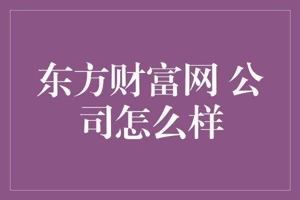 东方财富网 公司怎么样