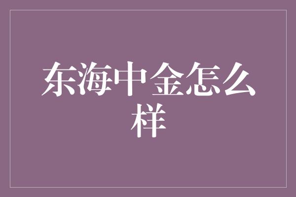 东海中金怎么样