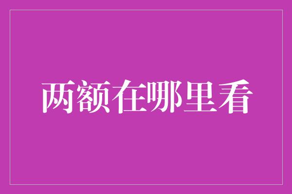 两额在哪里看