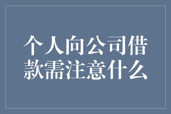 个人向公司借款需注意什么