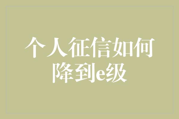 个人征信如何降到e级