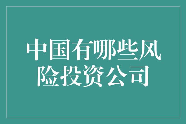 中国有哪些风险投资公司