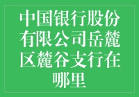 中国银行股份有限公司岳麓区麓谷支行：科技金融的新领地