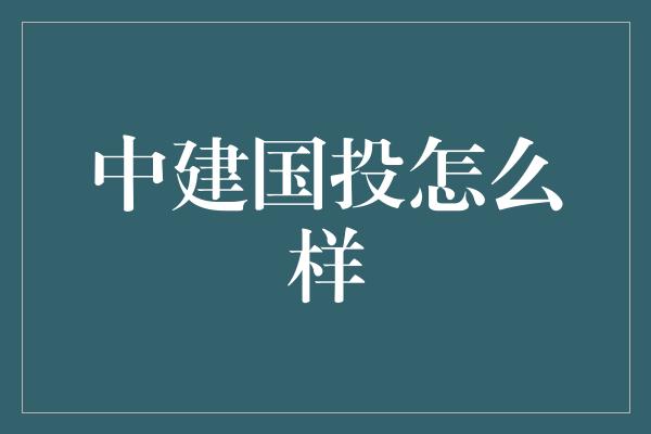 中建国投怎么样