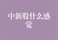 中新股，我变成了一个拥有100股中国石油新股的人