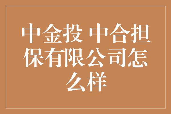 中金投 中合担保有限公司怎么样