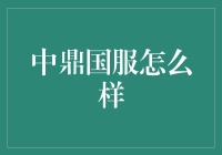 中鼎国服：你的电脑是我的电脑，你的世界是我的世界