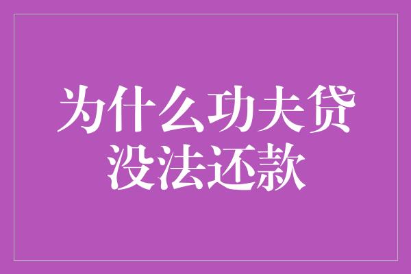 为什么功夫贷没法还款