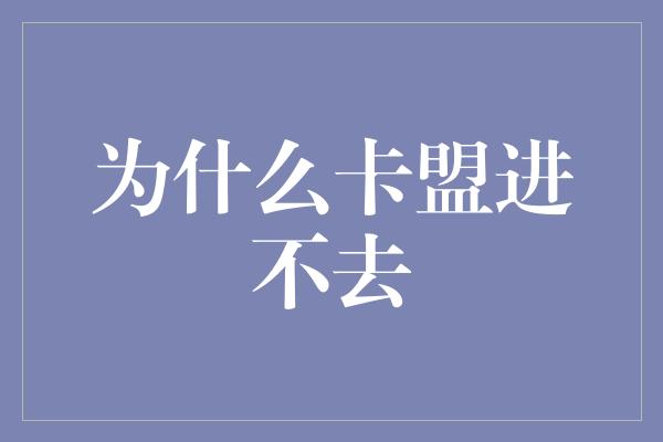 为什么卡盟进不去