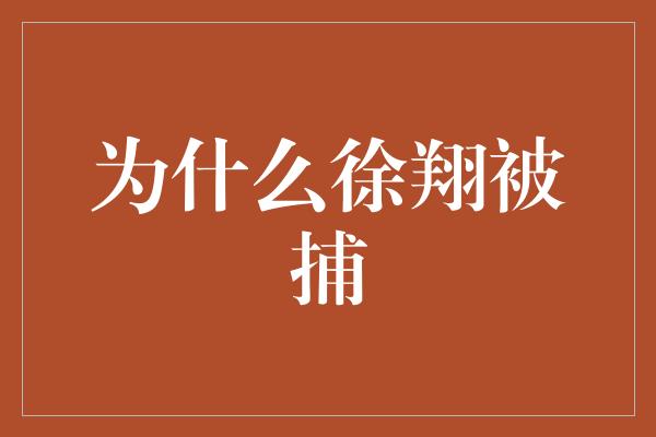 为什么徐翔被捕