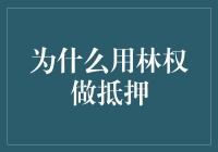 利用林权抵押：激发绿色经济潜力的新途径