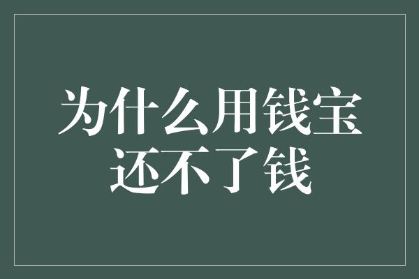 为什么用钱宝还不了钱