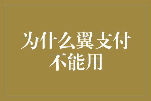 为什么翼支付不能用